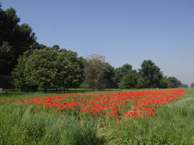 DSC00274Monreale DSC00274Monreale