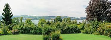 imagesCA1BZDJU imagesCA1BZDJU